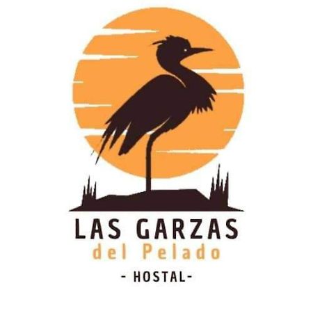 Hostal Las Garzas Del Pelado Playas Exterior foto